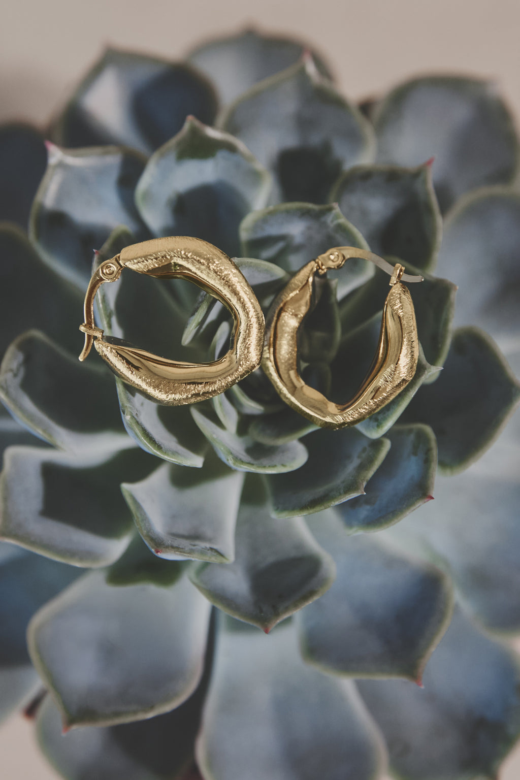 Creolen onregelmatige vorm Casual Dagelijks Eenvoudig Serie Dames sieraden